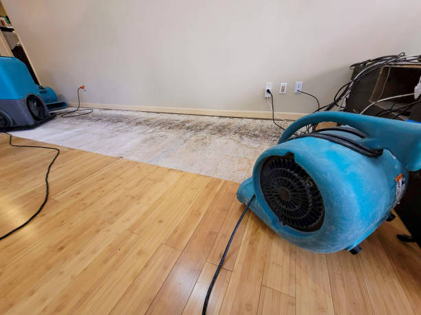 Professional Basement Flood Cleanup technician working in Surprise, NY